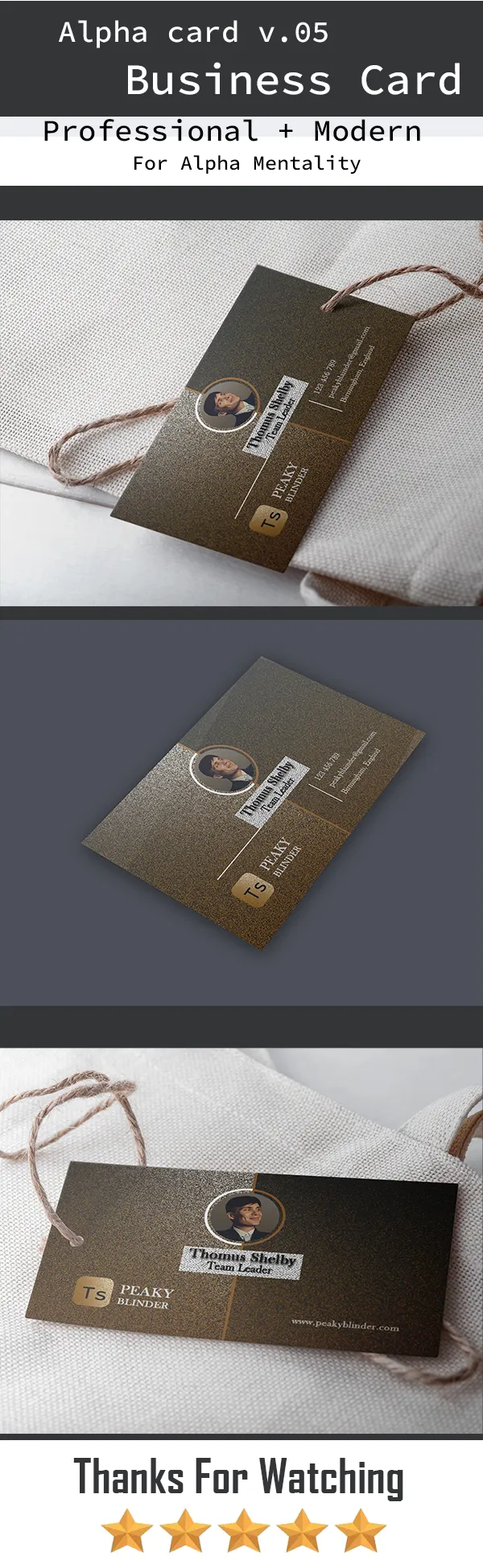 Corporate Executive Business Card Design Showcase